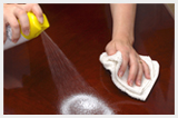 Cleaning Services